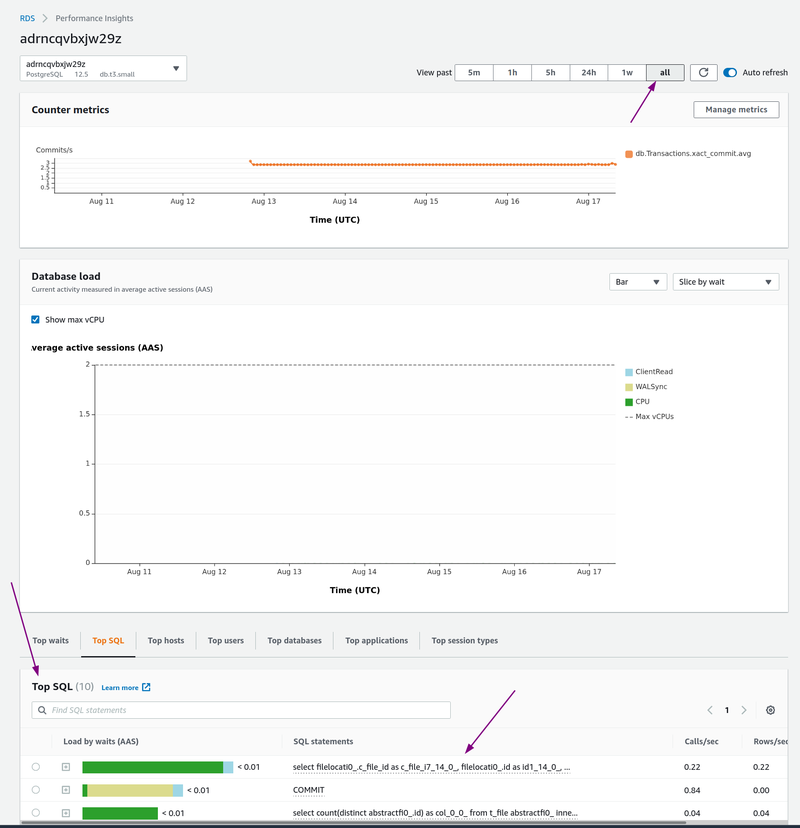 performance insights view
